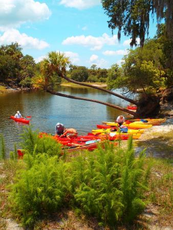 Econlockhatchee River